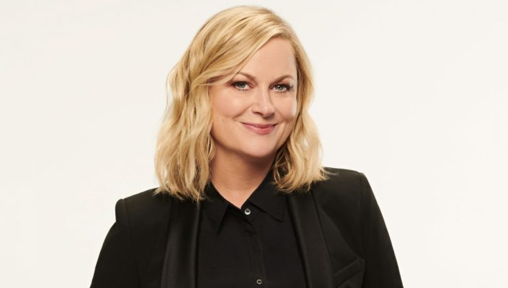 amy poehler born