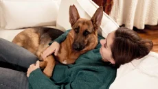 puppy owners