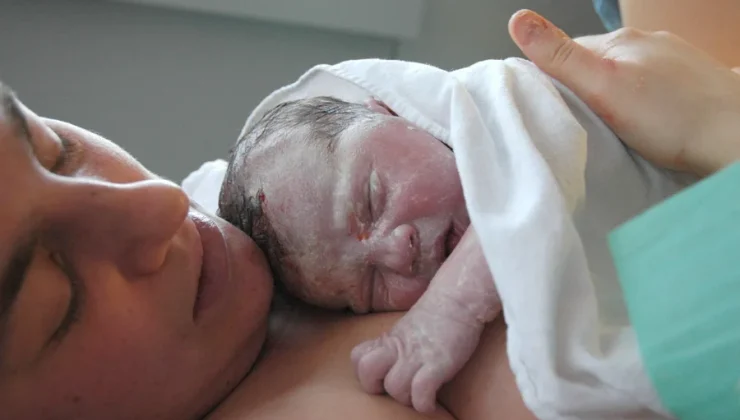 Modern Maternity