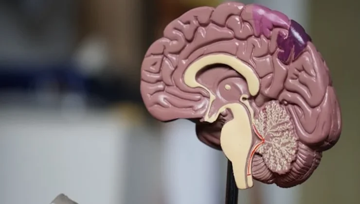 The Brain Trick That Makes Luckiness Seem Like Destiny.