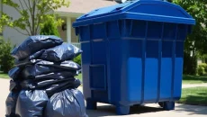 Cleanups in Mississauga