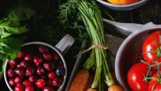 Discover Natural Healing Solutions at Herbal Pharm Your Top Source for Herbal Supplements and Remedies