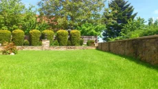 Reliable Landscaping Solutions for Home Improvement